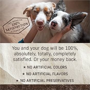Merrick Grain Free 96% Real Duck Dinner Canned Dog Food, 12.7 oz Can (Pack of 12)