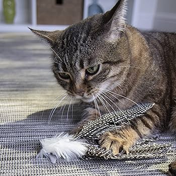 Petlinks HappyNip Safari Zippy Zebra Feather Cat Toy with Catnip