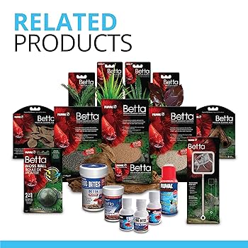 Fluval Betta Premium Aquarium Kit - 2.6 Gallon Tank (10 L)