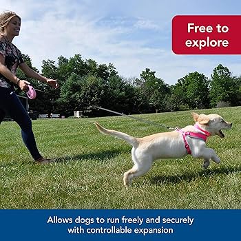 Coastal Power Walker Retractable Dog Leash - Small, Red, 16 ft, Up to 32 lbs