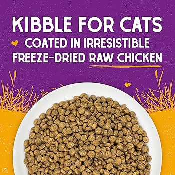 Stella & Chewy's Raw Coated Kibble Cat Food - Cage-Free Chicken Recipe, Grain-Free, 10 lb Bag