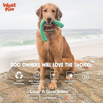 West Paw Seaflex Snorkl Dog Toy - Large, Emerald Green - Tug & Chew Toy for Moderate Chewers
