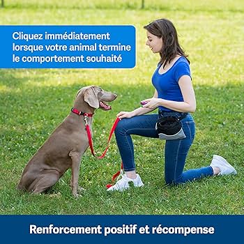 PetSafe Clik-R Dog Training Clicker with Training Guide - Positive Reinforcement for All Ages