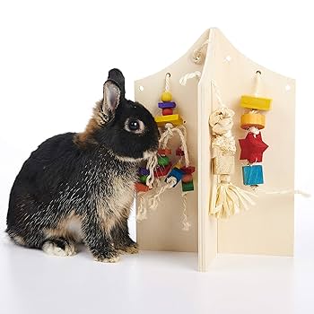 Oxbow Enriched Life Play Center - Large - Small Animal Toy