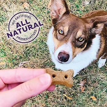 Old Mother Hubbard P-Nuttier Mini Dog Biscuits - Crunchy, Natural Treats, Peanut Butter Flavor, 20 lb Box