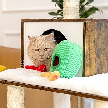 ZippyClaws Burrow Snakes in Cactus Cat Toy