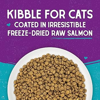 Stella & Chewy's Raw Coated Cat Food, Salmon Recipe, 2.5 lb Bag