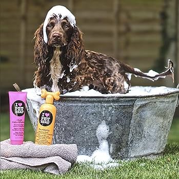 Pet Head Dirty Talk Deodorizing Dog Shampoo - Yummy Orange - 16.1oz / 475ml