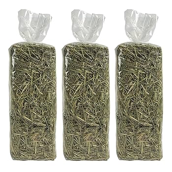 Kaytee Field+Forest Timothy & Orchard Grass Hay - 90 oz, 2.5 lb (Small Animal Food)