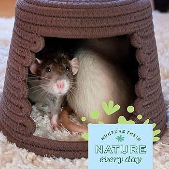 Oxbow Enriched Life Woven Hideout - Medium - Small Animal Hideaway