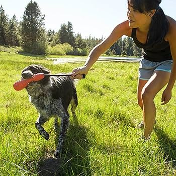 Ruffwear Gourdo Rubber Throw Toy - Sockeye Red