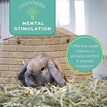 Oxbow Western Timothy Hay - 25 lb - All Natural Small Pet Food for Rabbits, Guinea Pigs, and Chinchillas