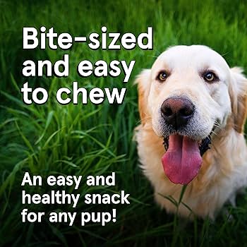 Real Meat Chicken & Venison Jerky Dog Treats 4oz