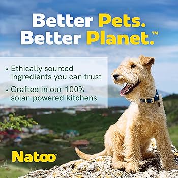 Natoo Biscuits for Small Dogs - Coconut & Mango Crunchy Treats, 8 oz