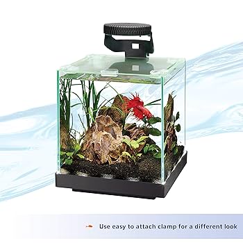 Aqueon Betta LED Light - 3-Mode Clip-On Aquarium Light for up to 3 Gallon Tanks