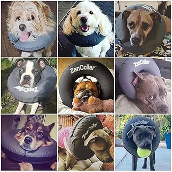 ZenPet Pro-Collar Inflatable Recovery Collar - XX-Large - Dog & Cat - Soft, Comfortable E-Collar