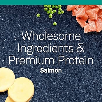 Canidae PURE Grain-Free Limited Ingredient Salmon Dry Cat Food, 5 lb