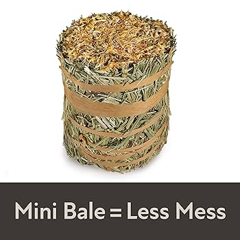 Kaytee Field+Forest Mini Hay Bale Marigold, 3.5 oz - Small Animal Treat
