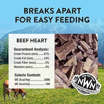 Northwest Naturals Raw Rewards Freeze-Dried Beef Heart Treats for Dogs & Cats - 10 oz