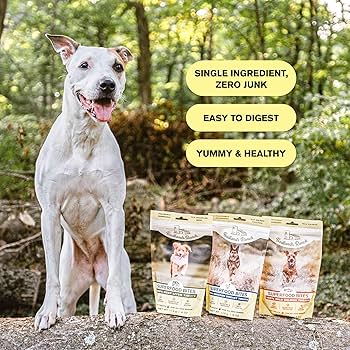 Badlands Ranch Freeze-Dried Salmon Superfood Bites Dog Treats, 4 oz