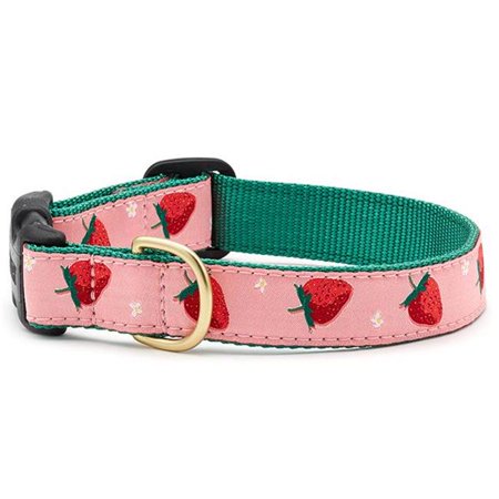 Up Country STRCQ6W Strawberry Fields Dog Collar  2XL