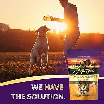 Zignature Ziggy Bars Kangaroo Dog Treats - 12oz Limited Ingredient Biscuits