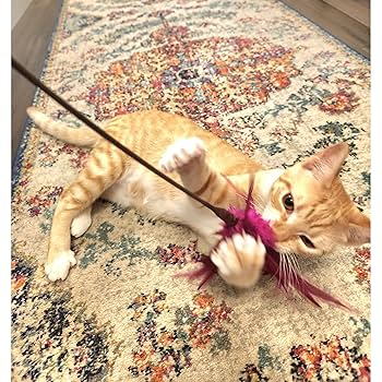 Go Cat Kitty Duster Cat Toy, 18 inch Interactive Teaser Wand (Colors Vary)