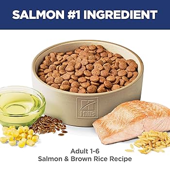 Hill's Science Diet Adult Salmon & Brown Rice Dry Dog Food, 14 lb Bag