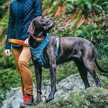 Kurgo Journey Air Dog Harness - Coastal Blue/Gargoyle Grey - Size Small - 10-25 lb