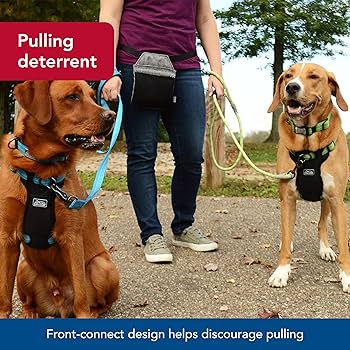 Coastal K-9 Explorer Brights Reflective Front-Connect Harness, Desert, 1" x 20"-30"