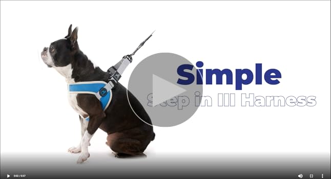 Gooby Simple Step-In III Harness - Yellow, Small - Easy Walk Dog Harness