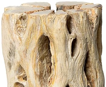 Galapagos Cholla Wood Branch - Natural Aquarium & Terrarium Decor, 12 Inch