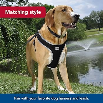 Coastal Pet Large Adjustable Dog Collar, 1" x 18-26", Blue with Metal Buckle