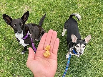 Redbarn Dog Treats - Whitefish Cuts, Air Dried Training Treats, 4-6 oz Bag