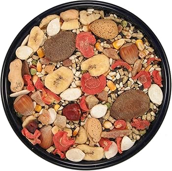 SLEEK & SASSY Garden Macaw Parrot Food, 4 lbs.