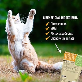 Pet Naturals Hip + Joint for Cats - 30 Chews - Fish Flavor - Joint Supplement