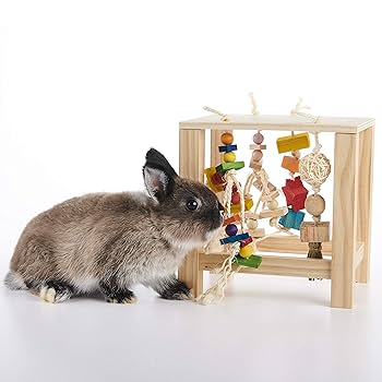 Oxbow Enriched Life Play Table - Small Animal Toy for Rabbits, Guinea Pigs, Hamsters & More