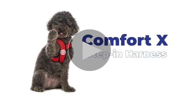 Gooby Comfort X Step-In Dog Harness - Choke-Free, Micro Suede Trim, Patented X Frame - (Size: M, Color: Black)