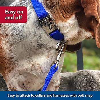 Coastal Pet Double-Ply Nylon Dog Leash, Black, 1" x 6' Training Lead