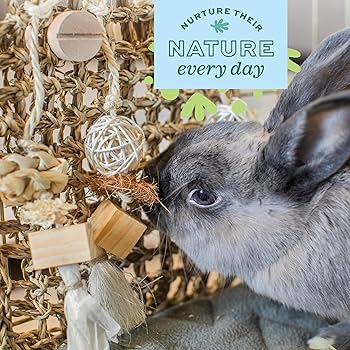 Oxbow Enriched Life Play Wall - Small Animal Toy - Rabbit, Guinea Pig, Hamster, Chinchilla