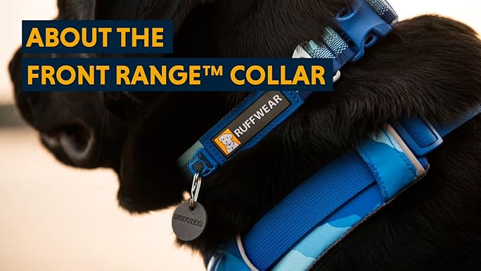 Ruffwear Front Range Collar - Blue Pool - Dog Collar - Adjustable, Durable, Reflective (14-20")