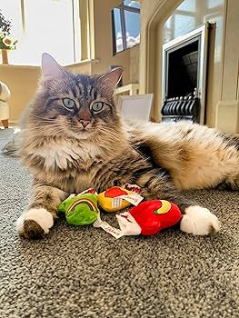 Yeowww! Kitten Mittens Catnip Toys - Jug of 30 Organic Cat Toys