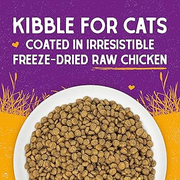 Stella & Chewy's Raw Coated Kibble Cat Food, Cage-Free Chicken Recipe, 5 lb Bag