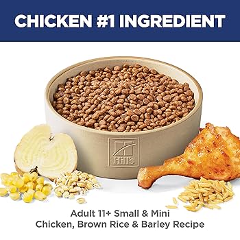 Hill's Science Diet Senior 11+ Small & Mini Dry Dog Food, Chicken, 4.5 lb