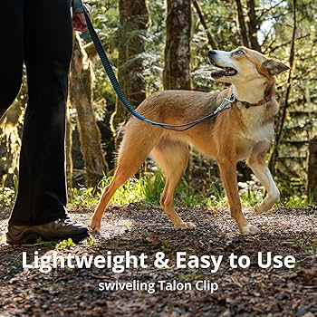 Ruffwear Roamer Bungee Dog Leash - Running, Biking, Hiking | Hand-Held or Hands-Free | 5.5'-7' - River Rock Green
