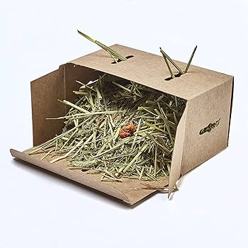 Kaytee Box O' Hay Variety Pack - Small Animal Timothy Hay Treat (Carrot, Mint, Marigold) - 3.45 oz