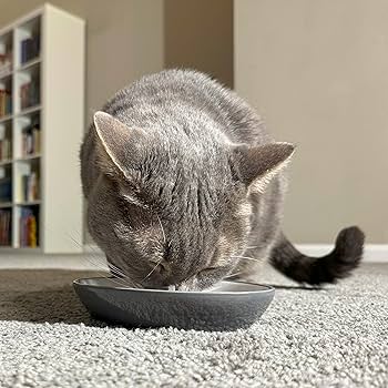 Ethical Pet 6" 2-Tone Gray Oval Cat Dish - Stylish Ceramic Food & Water Bowl