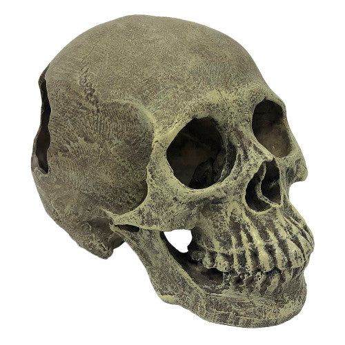 Komodo Full Human Skull Reptile Hideout - Gray - 6.5" Tank Decor