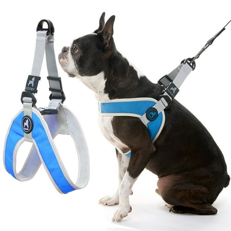 Gooby Simple Step-In III Dog Harness - Blue, Medium - Scratch Resistant, Breathable Mesh