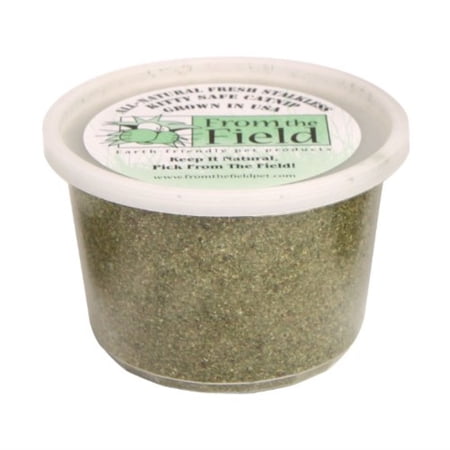 Kitty Safe Catnip Stalkless Three and a Half Ounce Tub